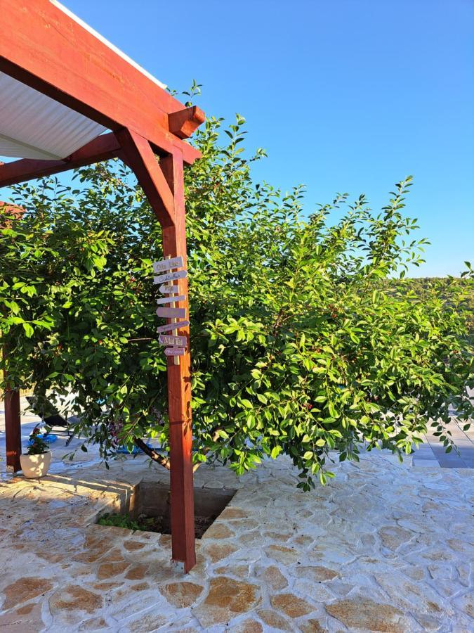 Guest House "The View" - With A Pool Donje Polje Exterior photo
